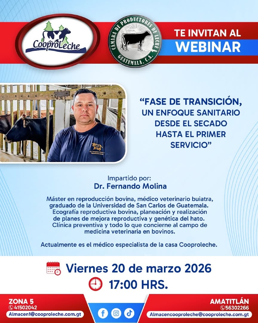 WEBINAR CORPOLECHE