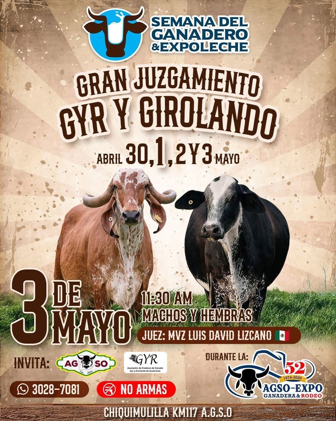 JUSGAMIENTO GYR Y GIROLANDO
