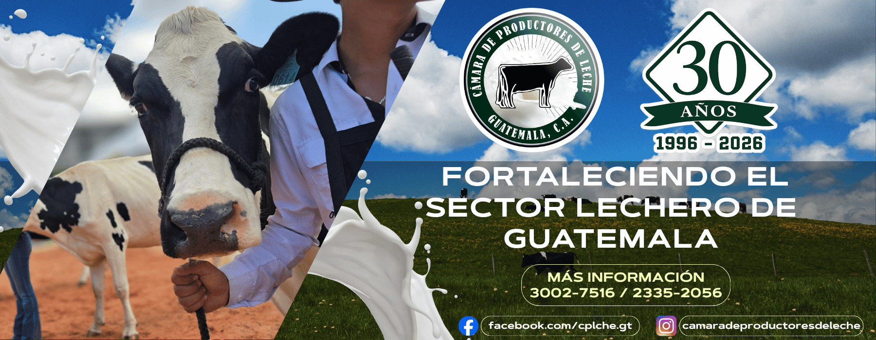 Portada222